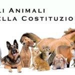 Mettere in Costituzione la tutela degli animali